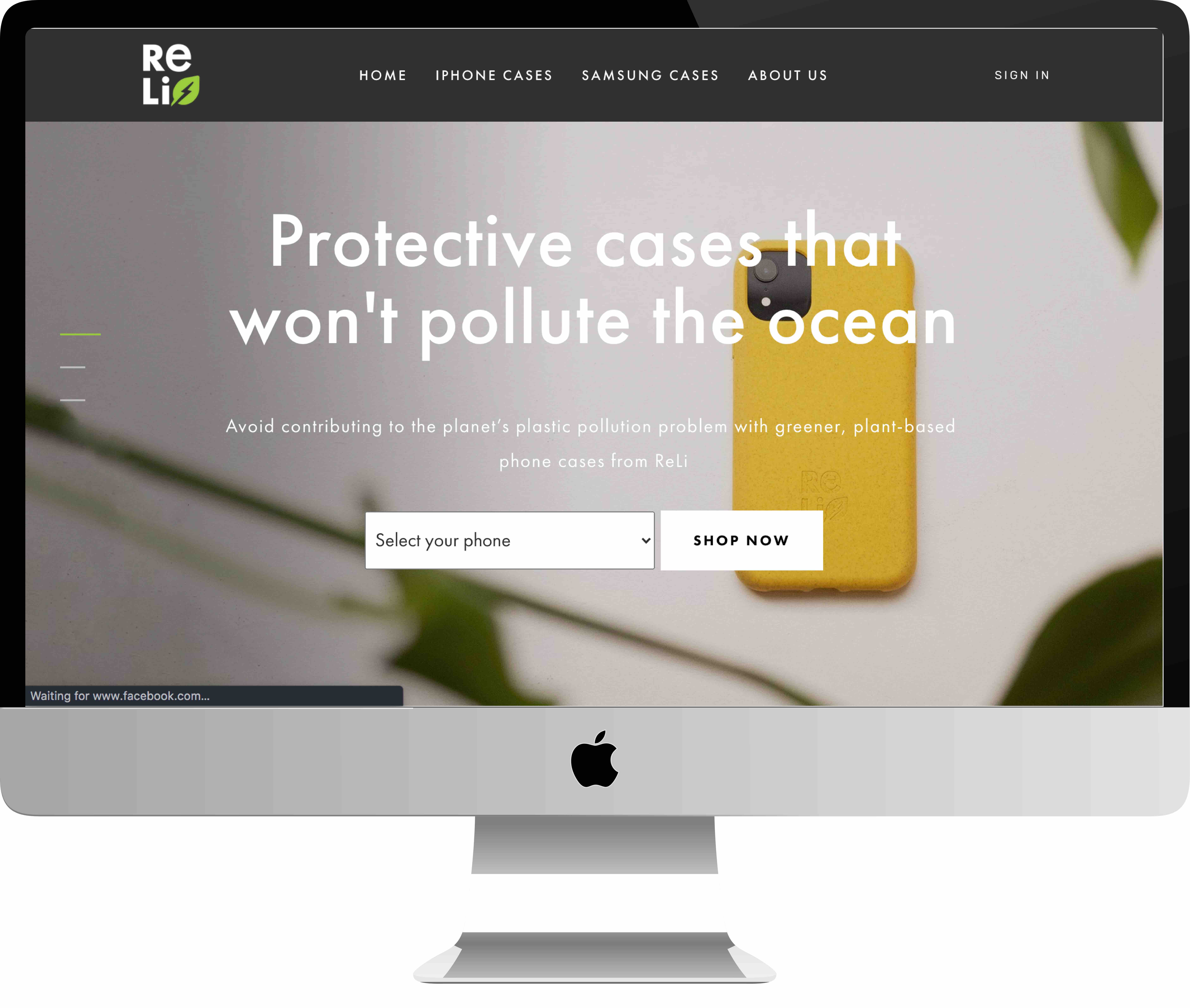 Desktop image of site